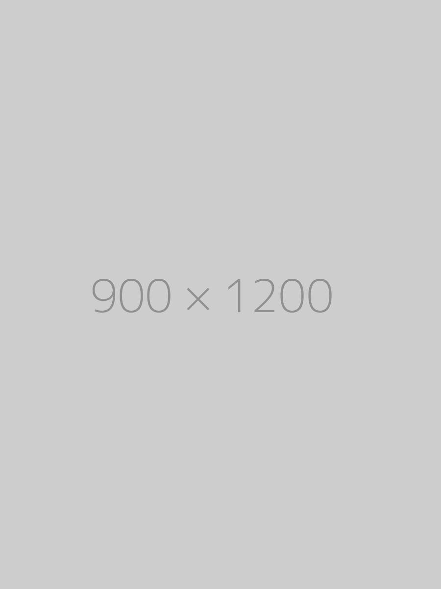 hongo 900x1200-ph